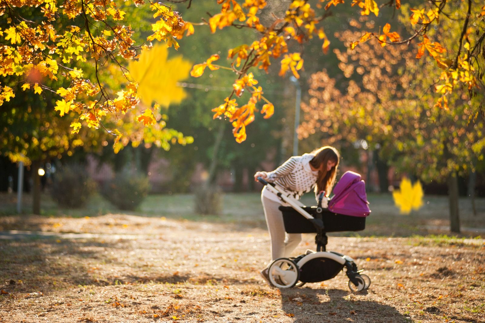 mother walking with a stroller through a sunny autumn park covered in yellow leaves